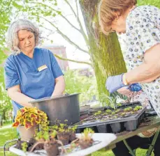  ?? FOTO: ANNETTE RIEDL/DPA ?? Im „Grünen Behandlung­szimmer“einer Berliner Klinik arbeitet Gartenther­apeutin Margit Bromm (links) mit der Patientin Christel Haas.