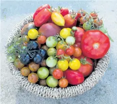  ??  ?? Don’t be afraid to experiment — try growing different varieties of tomatoes.