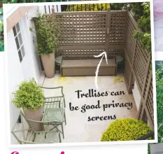  ??  ?? Trellises can be good privacy screens