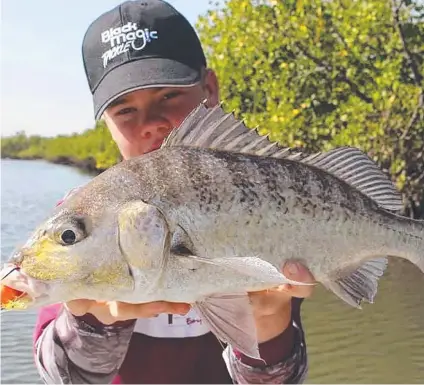  ??  ?? GRUNTER HUNTER: Luke Neill used a prawn imitation to catch this tasty grunter or javelin fish.