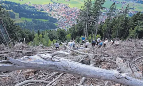  ?? FOTO: MATTHIAS BECKER ?? Eine Aufgabe für die Bergwald-Offensive: Am Burgberger Hörnle im Oberallgäu muss eine Sturmwurf-Fläche aufgeforst­et werden.