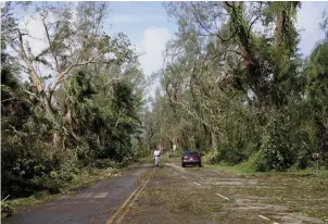  ??  ?? Trees lining a main road on Sanibel Island survived the wrath of Hurricane Charley’s sustained winds of 145 mph.