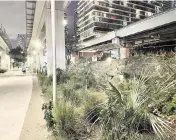  ?? NICOLAS RIVERO ?? A ridge of exposed limestone runs beneath Metrorail near Brickell Station in a section of the Underline called the Oolite Room.