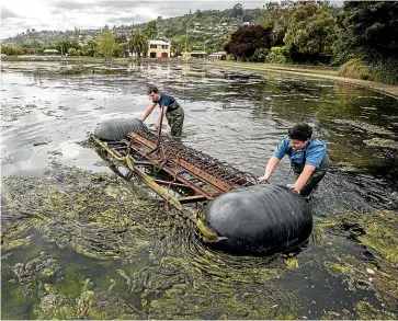  ?? BRADEN FASTIER/ STUFF ?? If the data comfirms the anecdotal evidence of the Modellers Pond cleaning trial, it may spell the end to a decades-long algae problem.