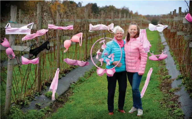  ?? FOTO: KJARTAN BJELLAND ?? Elin Brunvatne (69) og Ella Berge (63) har fått god uttelling for bh-stuntet på Sebbetåa i Søgne. De er bare blitt mer ivrige etter at noen av bh-ene er blitt stjålet.