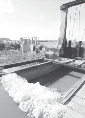  ??  ?? The Company Path Canal has been blocked with sand bags and the accumulate­d water appears ready to breach its banks.