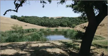  ?? PATRICK TEHAN — STAFF ARCHIVES ?? Henry W. Coe State Park, east of Morgan Hill, shown here in June 2007is Northern California's largest state park. It is more than three times the size of San Francisco, at more than 87,000acres.