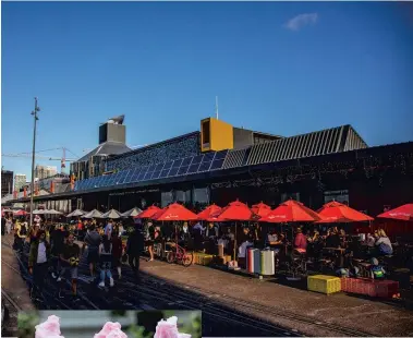  ??  ?? Top: Enjoy a stroll along Auckland’s waterfront dining precinct – North Wharf.