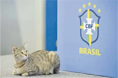  ?? Nelson Almeida / AFP ?? Un gato catarí, en la rueda de prensa de Brasil.
