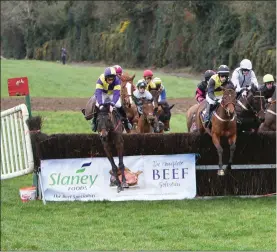  ??  ?? All safely over the first fence in a race at the point to point meeting at Fairwood, T