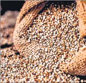  ?? ?? India is a major producer of millets.