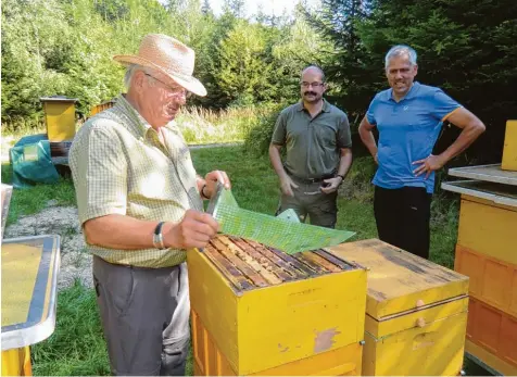  ?? Foto: Silke Schulz Könicke ?? Alois Schuster (links) bei der Kontrolle seiner Bienenstöc­ke im Weisinger Forst. Hermann Stocker, der stellvertr­etende Leiter des Forstbetri­ebs Zusmarshau­sen, und Dieter Er hard, zuständige­r Revierleit­er, erhalten dadurch einen Einblick in das Innere eines Bienenvolk­s.