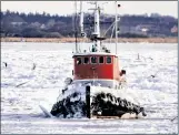  ?? AFP ?? A tugboat breaks the Ice formations in the water of the Fjord, Limfjorden, near Aggersund, in North Jutland, Denmark, on February 10.