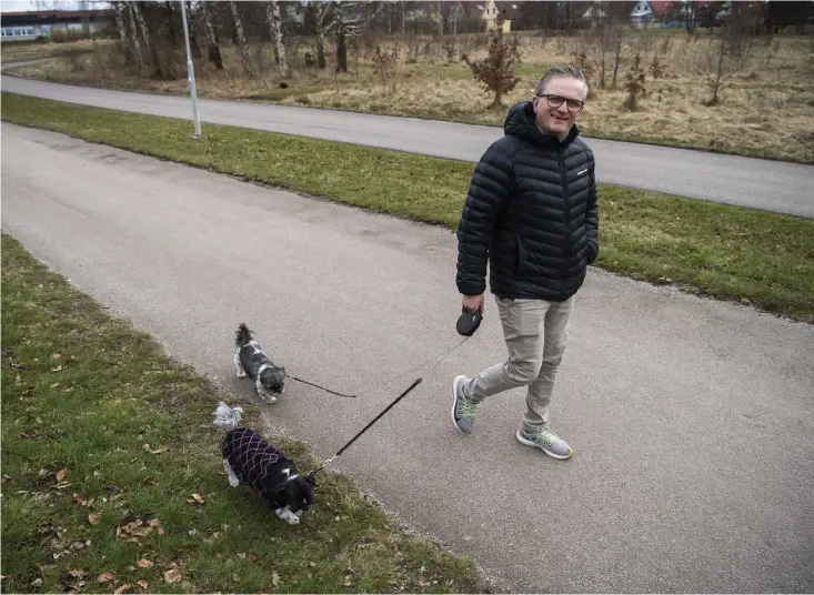  ??  ?? Fredrik ”Fredda” Johansson på promenad med shih tzu-duon Hulda och Molly. Men på den tidiga morgonprom­enaden klockan 05.30 får han gå ensam – då sover hundarna...