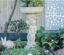  ??  ?? A classical birdbath planted with old-fashioned ferns stands beside a mirror on the fence, while at the base are miniature hostas called “mouse ears.”