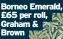  ?? ?? Borneo Emerald, £65 per roll, Graham & Brown