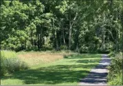  ?? TANIA BARRICKLO — DAILY FREEMAN FILE ?? A walking path at Thompson-Mazarella Park in Rhinebeck, N.Y., is shown on Aug. 11, 2020.