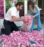  ??  ?? FLOWER POWER: Gathering petals for the production of rosewater in the village of Agros