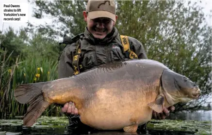  ??  ?? Paul Owens strains to lift Yorkshire’s new record carp!