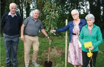  ??  ?? Mary Corkery, Kilbrin, and Margaret O’Callaghan, Charlevill­e, who co-ordinated the Kanturk Tree of Hope Project pictured with Eddie Walsh and Donie Mannix of the local Men’s Shed Group at the Tree planting ceremony in Kanturk Town Park.