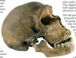  ?? ?? Neandertha­ls: A different brain, but similar soul?