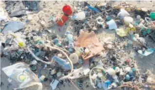  ??  ?? La contaminac­ión y presencia de plástico en el agua es alarmante