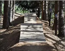  ??  ?? Some of the platforms and features in the mountain bike skills area.