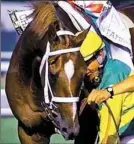  ??  ?? Former Kentucky Derby and Preakness Stakes winner Charismati­c, who won the first two legs of the Triple Crown in 1999, died Sunday at Old Friends retirement farm in Kentucky.