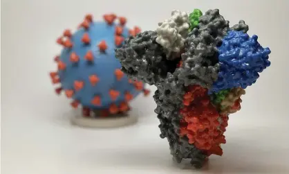  ?? Photograph: National Institutes of Health/AFP via Getty Images ?? A 3D print of a spike protein of Sars-CoV-2, which the participan­ts in Folding@Home’s distribute­d computing effort are attempting to understand better.