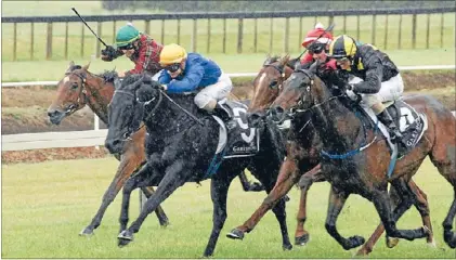  ??  ?? On form: Joey Massino (9) makes a long-awaited return to the winner’s list with victory over Made My Point and Sadist in the rain at Tauranga on Saturday.