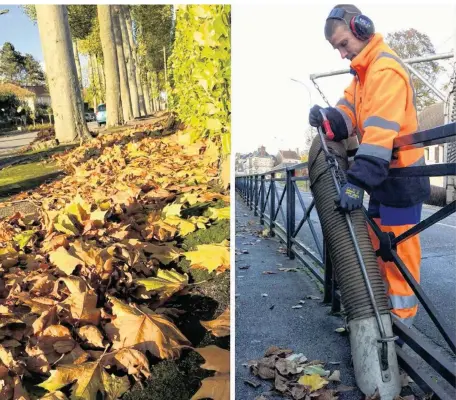  ??  ?? Deux agents sillonnent les rues de la ville afin de ramasser les feuilles mortes.