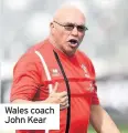  ??  ?? Wales coach John Kear