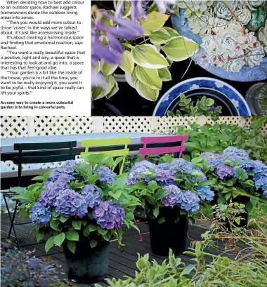  ??  ?? An easy way to create a more colourful garden is to bring in colourful pots. Blue hydrangeas and colourful furniture add pop to Rachael’s deck.