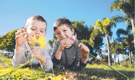  ?? Picture: Claudia Baxter ?? DOWN TIME: Elliott Stannard, 4, and Archie Gleeson, 5, enjoying nature play.