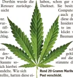  ?? Symbolfoto: fotolia ?? Rund 20 Gramm Marihuana wurden per Post verschickt.