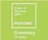  ??  ?? Greenery is a “zesty yellow-green shade that evokes the first days of spring,” according to Pantone.