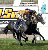  ?? TRISH DUNELL ?? Gold Fever snatches victory off Joyfilly in the Matamata Breeders Stakes.