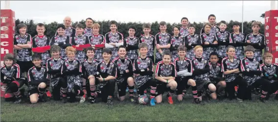  ??  ?? The Wicklow RFC U-12s who travelled to Munster to mark their transition from minis to youths rugby.