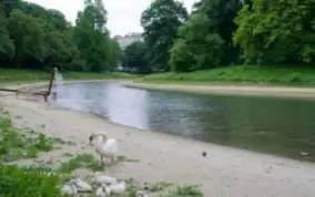  ?? FOTO PATRICK DE ROO ?? De vijver van het Stadspark wordt al enkele maanden bijgevuld. De lange periodes van warmte en droogte eisen hun tol.