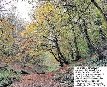  ??  ?? This photo of some lovely autumn colours was taken in Gower Hey Wood, in Hyde, Tameside, by Roger Almond, of Hyde. If you have a stunning picture, then we’d love to see it. Send your photos to us at viewpoints@men-news. co.uk, marking them Picture of the Day