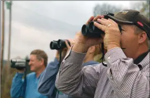  ?? The Sentinel-Record/Corbet Deary ?? ROAMING FREE: People travel to the Ozarks from abroad to see elk freely roaming in the Boxley Valley area.