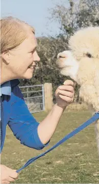  ?? ?? West Chiltingto­n alpaca breeder Claire Holloway, pictured with Braveheart, says the death of Geronimo the alpaca will be heartbreak­ing for his owner