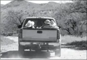  ?? ASSOCIATED PRESS ?? THIS 2010 FILE PHOTO shows volunteers with the humanitari­an group No More Deaths heading out to fill water stations for illegal immigrants near Arivaca, Ariz., about 13 miles north of Mexico.