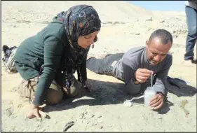  ??  ?? Student Mai El-Amir, left, and Professor Hesham Sallam of Mansoura University prepare to glue bones of the Mansourasa­urus in the field. Sallam led the research that discovered and named the new dinosaur.
PICTURE: SANAA EL-SAYED, MANSOURA UNIVERSITY.