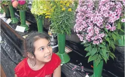  ?? Picture: Phil Hannah. ?? Isabel Farmer, six, admires the blooms.