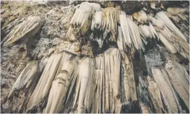  ?? Picture: Michel Bega ?? ICICLES. Stalactite­s yesterday in the Bothongo WonderCave, are deposits that form when water dissolves limestone, then re-deposits calcium carbonate along the ceilings of caves.