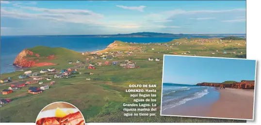  ?? FOTOS: DEUTSCHE PRESSE AGENTUR ?? SORPRENDEN­TE.
Hace cincuenta años en esta zona, comer langostas era de gente pobre. Hoy la a demanda los desborda. GOLFO DE SAN LORENZO. Hasta aquí llegan las aguas de los Grandes Lagos. La riqueza marina del agua no tiene par.