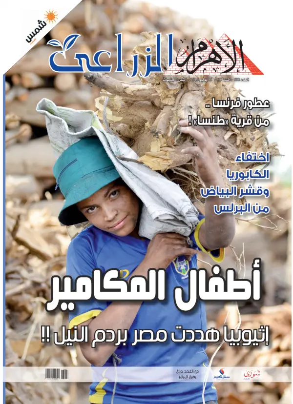 Read full digital edition of Alzeraaya newspaper from Egypt